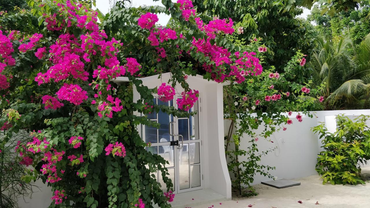 Hotel Athiriveli Thoddoo Exterior foto