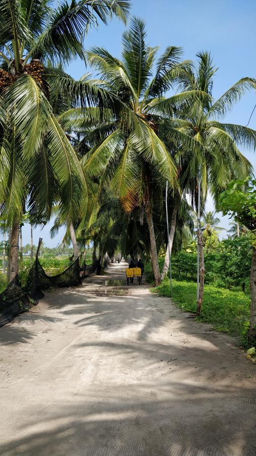 Hotel Athiriveli Thoddoo Exterior foto